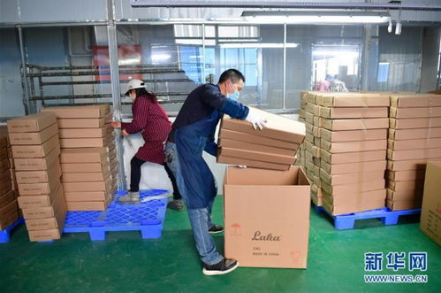 陜西城固樂器廠復工忙，樂器零售市場煥發新生機