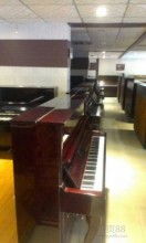溫州市南浦寧樂琴行 樂器批發(fā)與零售的專業(yè)之選